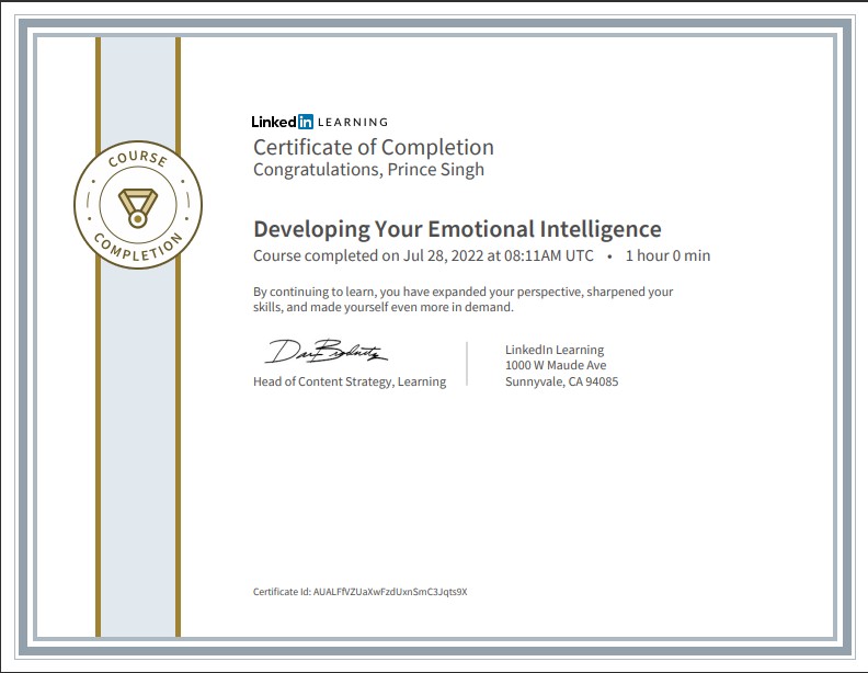 Certificate 13